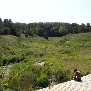 LATE SUMMER AT LONG PINE, NE. THE HAPPIEST PLACE IN THE WORLD.