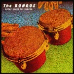 THE BONGOS