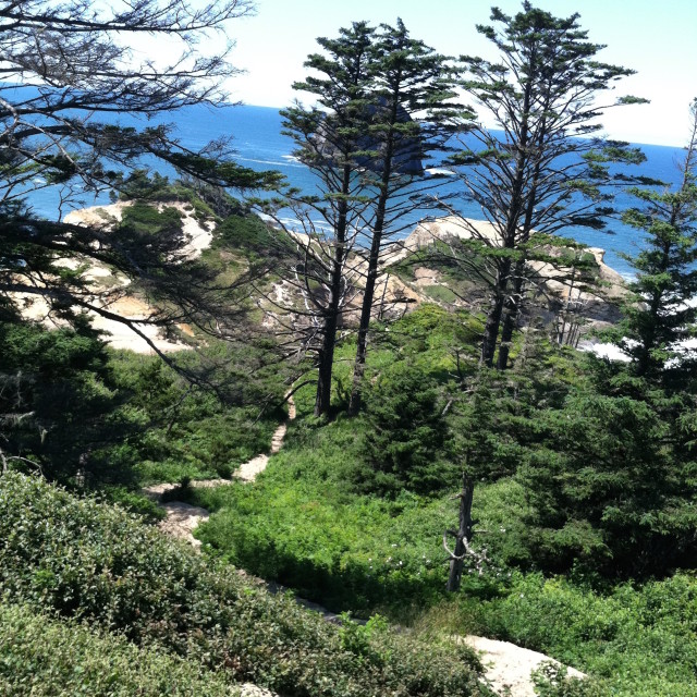 VIEW FROM CAPE KIWANDA. Oregon, you genius.