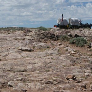 The oregon trail