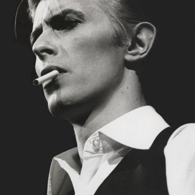 Singular. Bowie.