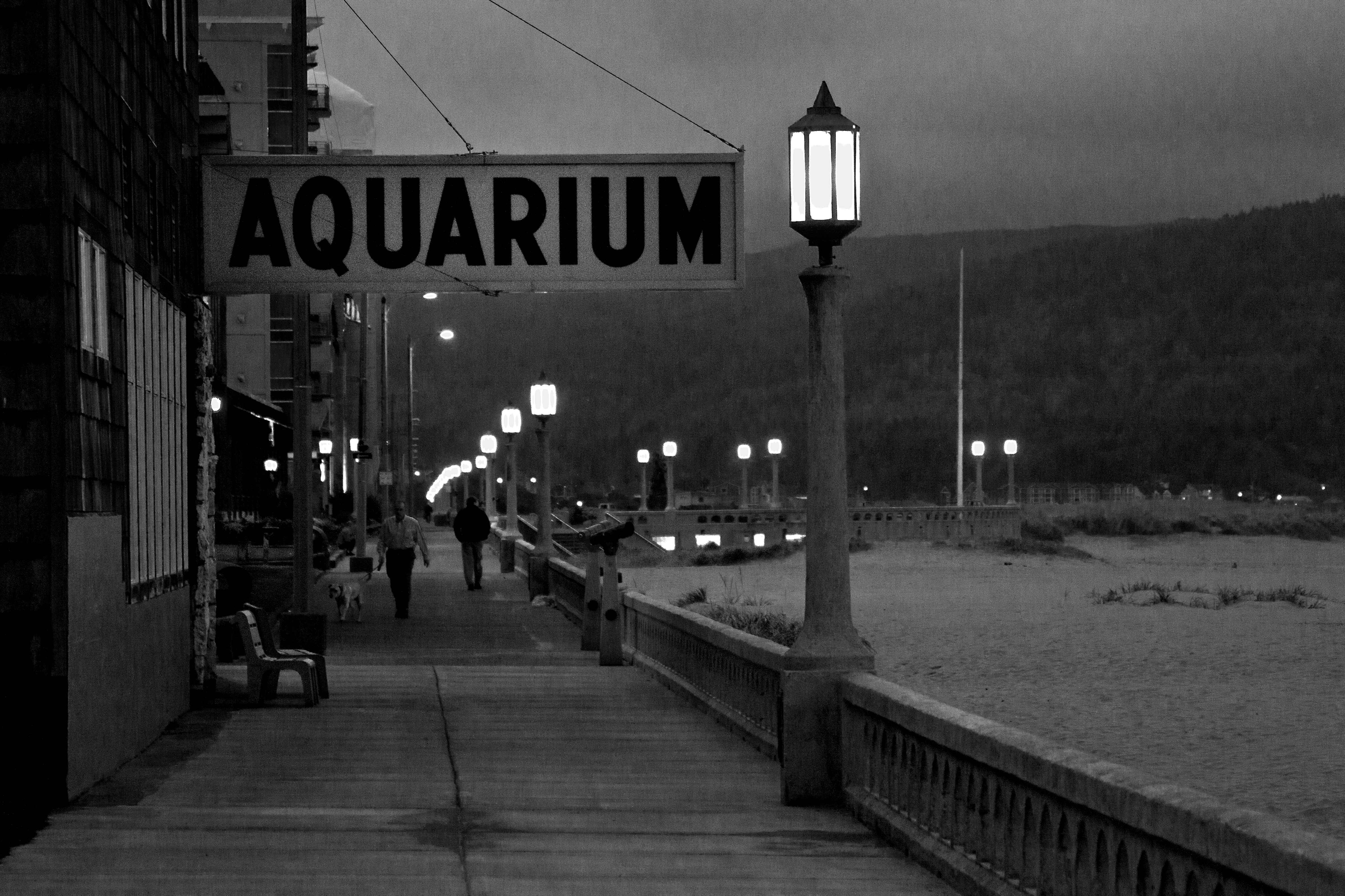 The Seaside Aquarium